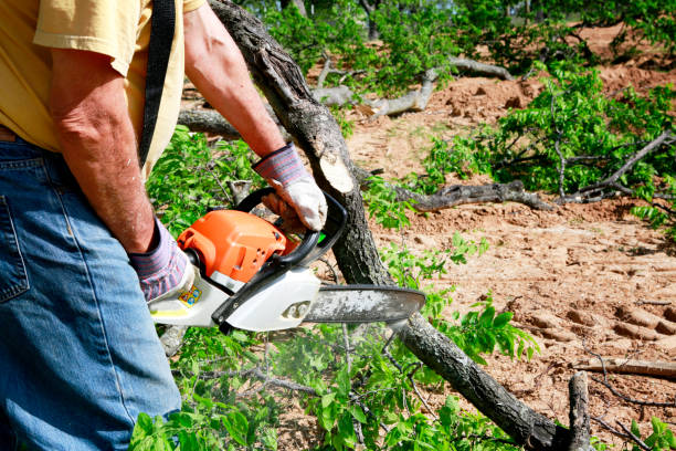 Landscape Design and Installation in Providence Village, TX